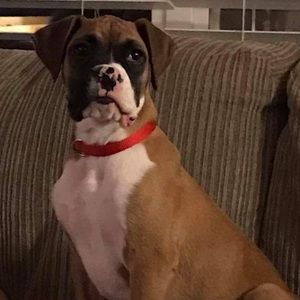 Meet your Posher, Haley